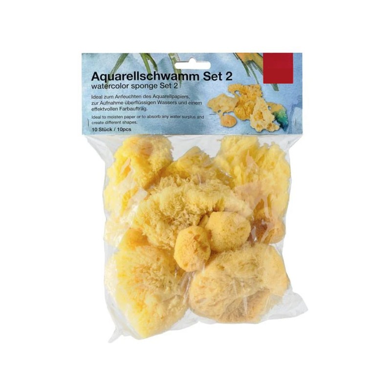 Lot d'éponges naturelles assorties pour artistes