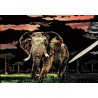Peinture à gratter A3 - Eléphant