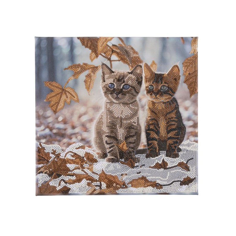 Kit tableau à diamanter Crystal Art 30x30cm - Duo de chatons en hiver