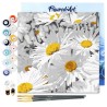 Peinture par numéros 20x20cm sur toile tendue - Jolies marguerites