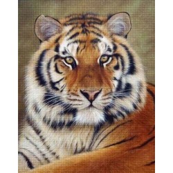Broderie diamant 40x50cm sur toile roulée - Regard de tigre