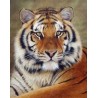 Broderie diamant 40x50cm sur toile roulée - Regard de tigre