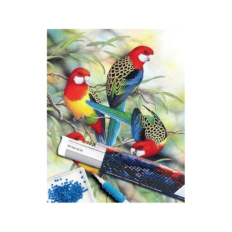 Broderie diamant 40x50cm sur toile roulée - Perroquets sur branche