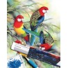 Broderie diamant 40x50cm sur toile roulée - Perroquets sur branche