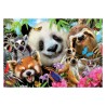 Puzzle 300 pièces - Black-eyed friends selfie