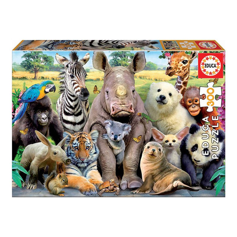 Puzzle 300 pièces - Photo de classe