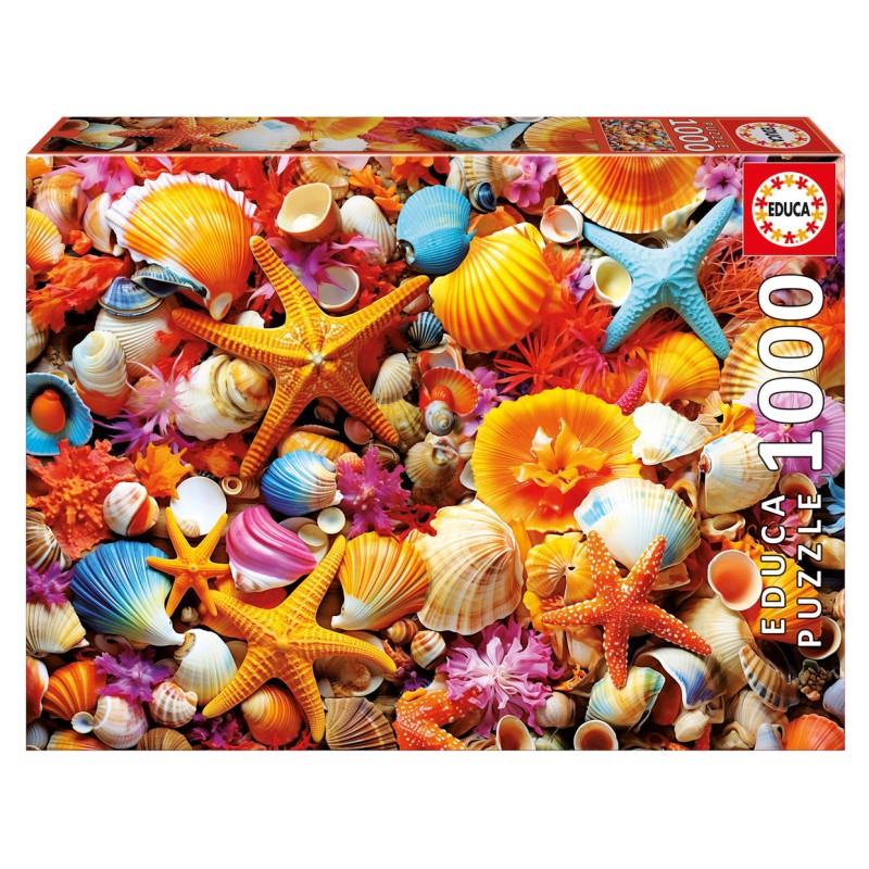 Puzzle 1000 pièces - Collage de coquillages