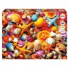 Puzzle 1000 pièces - Collage de coquillages