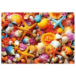 Puzzle 1000 pièces - Collage de coquillages