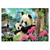 Puzzle 1000 pièces - Pandas