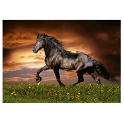Puzzle 1000 pièces - Cheval au trot