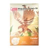 Maquette 3D en bois - Condor