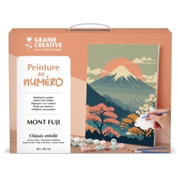 Peinture par numéro 30x40cm - Mont Fuji