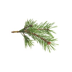 Parfums et senteurs pour bougie - 27ml