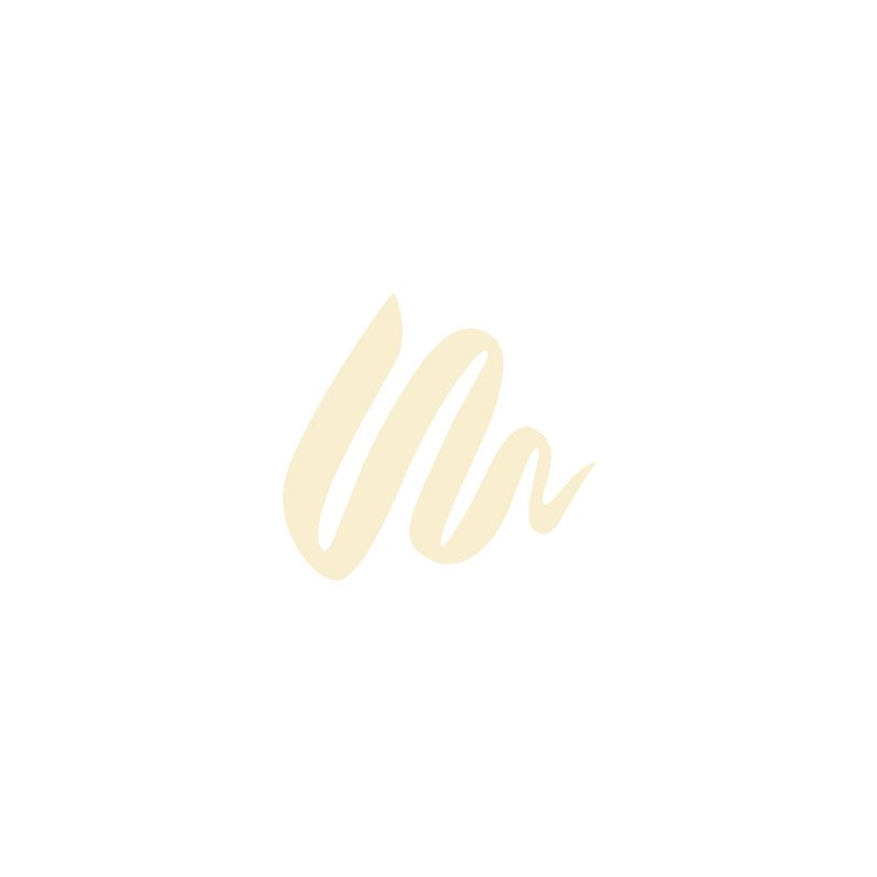 Feutre à pointe pinceau Pitt Artist Pen Brush