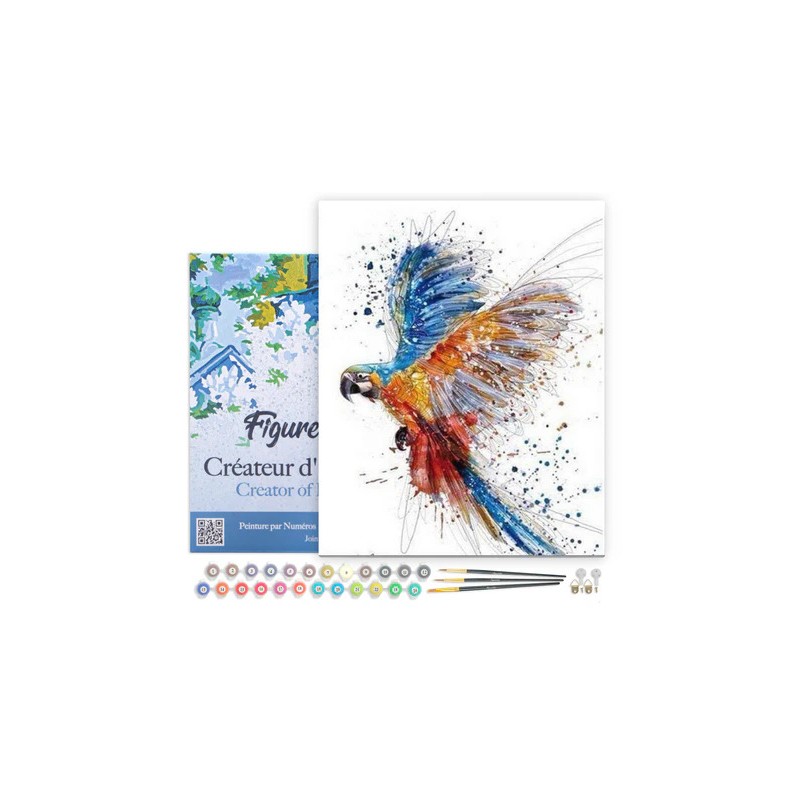 Peinture par numéros Perroquet en plein vol sur châssis 40x50 cm