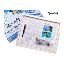 Peinture par numéros Tortue détendue sur châssis 40x50 cm