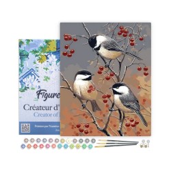 Peinture par numéros sur chassis 40x50cm - Oiseaux et arbre fruitier