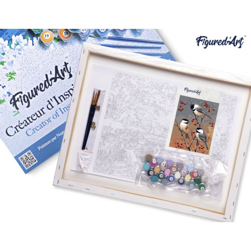 Kit Peinture Par Numéros Oiseaux Hiver - Toile 40x50 Cm, Peintures Et Pinceaux Inclus, Activité DIY