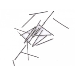 Clous tête homme 20x3, sachet x50g