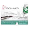 Papiers aquarelle Harmony 300g/m² en feuille