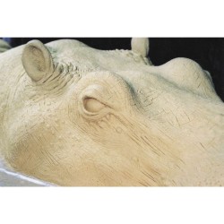 Pâte à modeler Plastiline - Ivoire