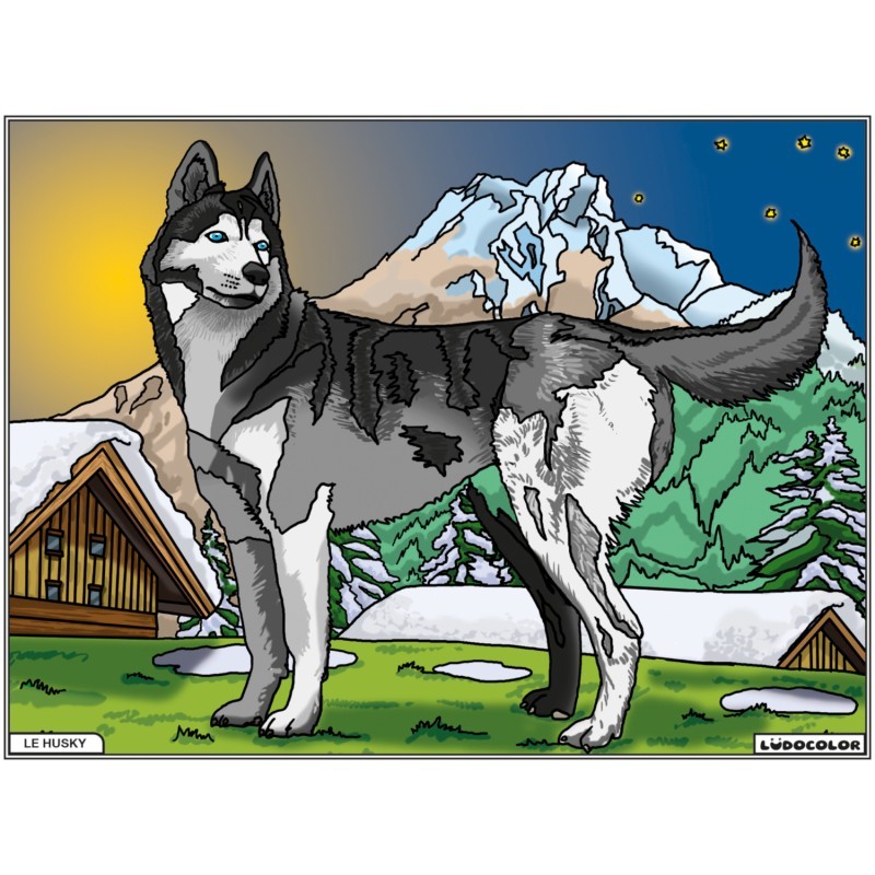 Tableau velours à colorier Le Husky