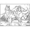 Tableau velours à colorier Le Husky