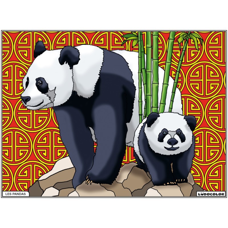Tableau velours à colorier Les Pandas