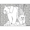 Tableau velours à colorier Les Pandas