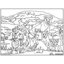 Tableau velours à colorier Famille Lion