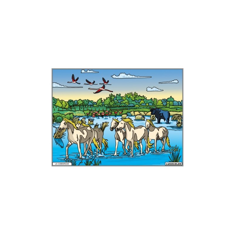 Tableau velours à colorier La Camargue