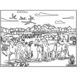 Tableau velours à colorier La Camargue