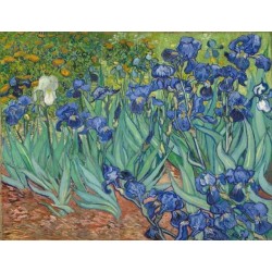 Peinture par numéros Van Gogh - Iris sur toilé roulée 40x50 cm