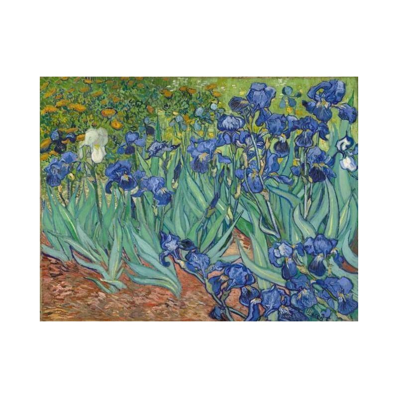 Peinture par numéros Van Gogh - Iris sur toilé roulée 40x50 cm