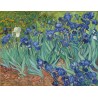 Peinture par numéros Van Gogh - Iris sur toilé roulée 40x50 cm