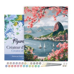 Peinture par numéros Port de Rio de Janeiro sur châssis 40x50cm