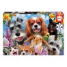 Puzzle Junior 200 pièces - Selfie d'animaux