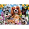 Puzzle Junior 200 pièces - Selfie d'animaux