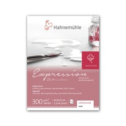 Mini-bloc aquarelle Expression 8x10.5 cm 300 g/m², 12 fls collées petit côté