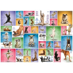 Puzzle 1000 pièces - Yoga Dogs, Chiot intérieur