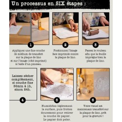 Médium de transfert Linogavure Pébéo, tube 80 ml