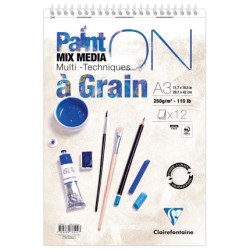 Bloc multi-technique spiralé Paint On à Grain 250 g/m² de 12 fls