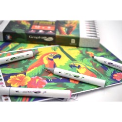 Kit coloriage mystère Aventure Tropicale :12 marqueurs Graph'It GO + 8 cartes