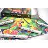 Kit coloriage mystère Aventure Tropicale :12 marqueurs Graph'It GO + 8 cartes