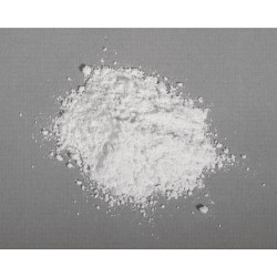 Poudre de moulage blanche Raysin 100