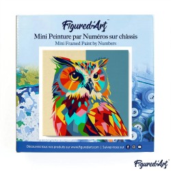 Peinture par numéros Hibou Abstrait Pop Art sur châssis 20x20 cm