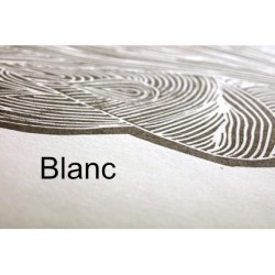 Papier Smili Japon blanc - Clairefontaine