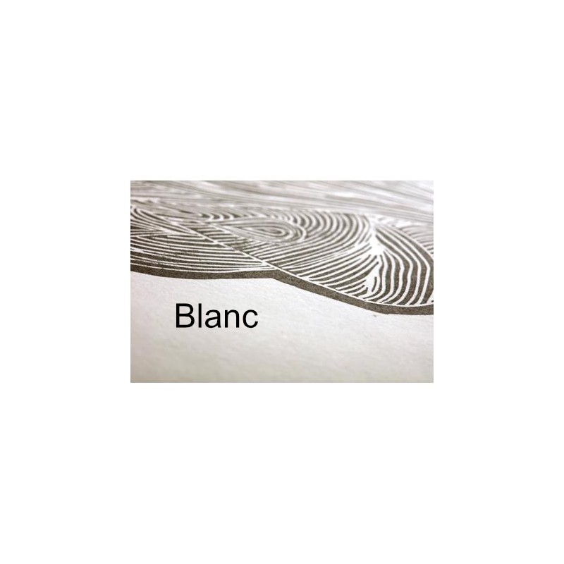 Papier Smili Japon blanc - Clairefontaine