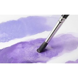 Craie aquarellable Néocolor II Caran d'Ache